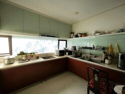 Serangoon Garden Estate (D19), Terrace #573901261
